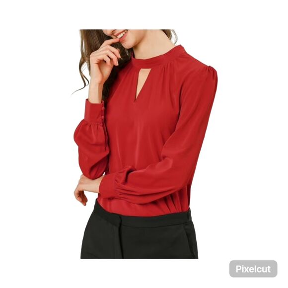 NWT Size Large Allegra K Red Stand Collar Pleated Button Keyhole Blouse - Picture 1 of 12